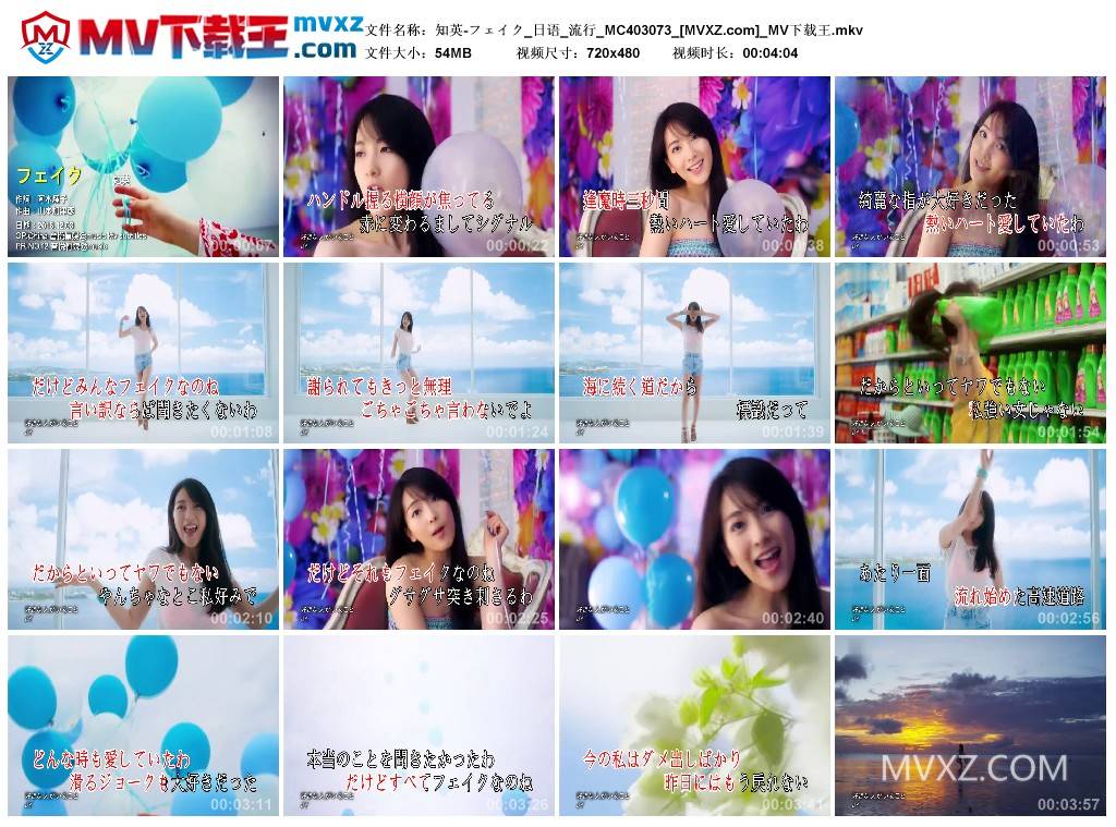 知英-フェイク_日语_流行_MC403073